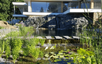 costruzione biopiscine Lugano